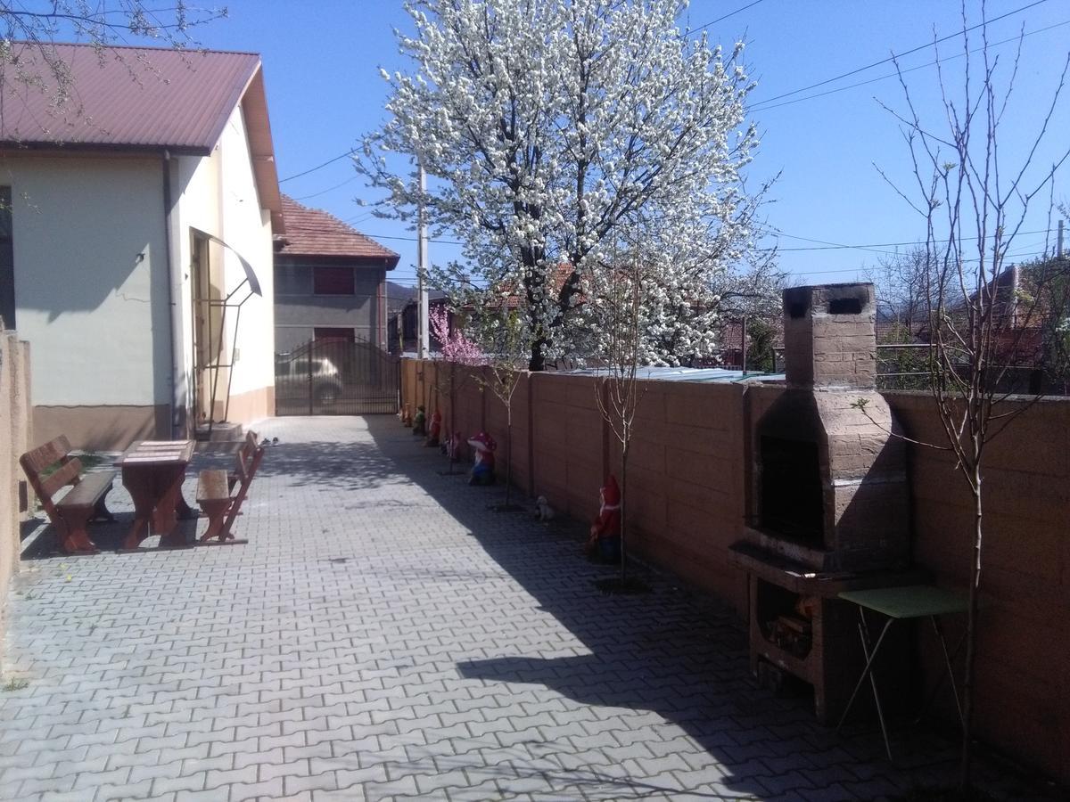Hotel Casa Ovi Si Simo Haţeg Exterior foto